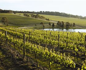 Yabby Lake Vineyard & Cellar Door - Accommodation Port Hedland 7