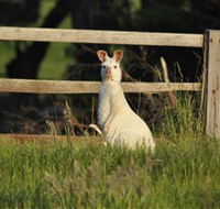 Panorama Garden Estate - Accommodation Port Hedland