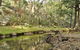 Capertee National Park - thumb 0