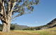 Capertee National Park - thumb 2