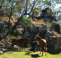 Coomba Falls - Accommodation Port Hedland