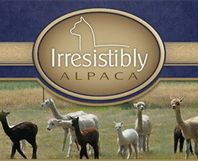 Marchmont Park Alpacas - Accommodation Port Hedland 0