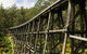 Noojee Trestle Bridge - thumb 0