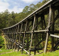 Noojee Trestle Bridge - Accommodation Port Hedland