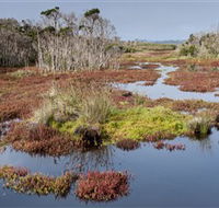 French Island National Park - Accommodation Port Hedland