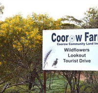 Coorow Farm Wildflower Trail - Accommodation Port Hedland
