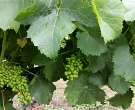 Kerralee Wines - Accommodation Port Hedland 1