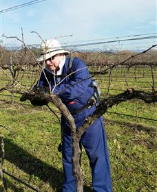 Kerralee Wines - Accommodation Port Hedland 3