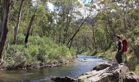 Yarrangobilly Caves - Accommodation Port Hedland 1