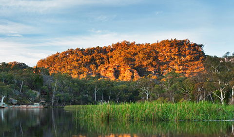 Wollemi National Park - Accommodation Port Hedland 0