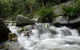 Washpool National Park - thumb 0