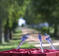 Lillico Glass Studio - Accommodation Port Hedland