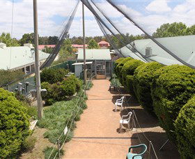 Canberra Walk In Aviary - Accommodation Port Hedland 2