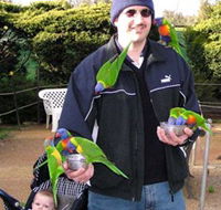 Canberra Walk In Aviary - Accommodation Port Hedland