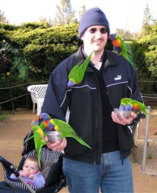 Canberra Walk In Aviary - Accommodation Port Hedland 0