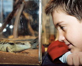 Canberra Reptile Zoo - Accommodation Port Hedland 0