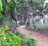 Mount Mutton Walking Trail - Accommodation Port Hedland