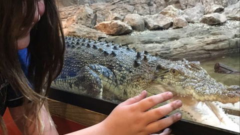 Canberra Reptile Zoo - Accommodation Port Hedland 3