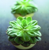 Crossroads Homemaker Centre - Accommodation Port Hedland 1