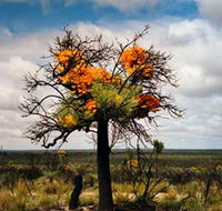 The Delmar Gallery - Accommodation Port Hedland