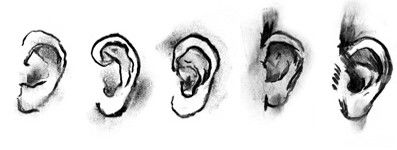 DAB LAB Research Gallery - Accommodation Port Hedland 0