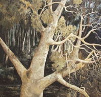 Ku-Ring-Gai Art Centre  Gallery - Accommodation Port Hedland