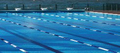 Andrew Boy Charlton Pool - Accommodation Port Hedland 1