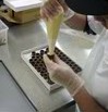 Fremantle Chocolate Pty Ltd - Accommodation Port Hedland 1