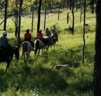 Hunter Valley Horse Riding and Adventures - Accommodation Port Hedland