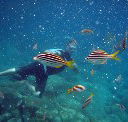 Imagine Cruises - Accommodation Port Hedland