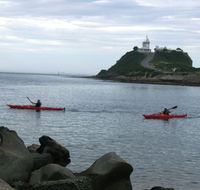 Newcastle Kayak Tours - Accommodation Port Hedland