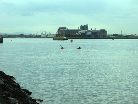 Newcastle Kayak Tours - Accommodation Port Hedland 5
