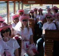 Newcastles Famous Tram - Accommodation Port Hedland