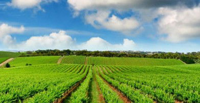 Sydney Weekend Adventures - Accommodation Port Hedland 2