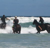 Pegasus Park Equestrian Centre - Accommodation Port Hedland