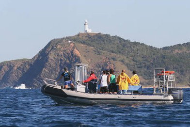 Byron Bay Dolphin Wildlife Tours - Accommodation Port Hedland 1