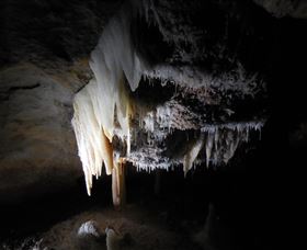 Country Charmâ„¢ Discovery Tours - Accommodation Port Hedland 1