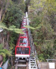 Country Charmâ„¢ Discovery Tours - Accommodation Port Hedland 6