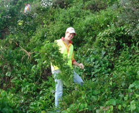 Conservation Volunteers Australia - Sydney - Accommodation Port Hedland 2
