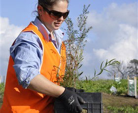 Conservation Volunteers Australia - Sydney - Accommodation Port Hedland 3