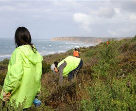 Conservation Volunteers Australia - Sydney - Accommodation Port Hedland 5