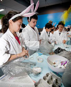 Australian Nuclear Science And Technology Organisation - Accommodation Port Hedland 1