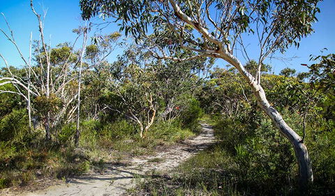 Aboriginal Heritage Walk - Accommodation Port Hedland 2