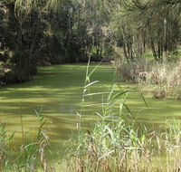 Second Ponds Creek walk - Accommodation Port Hedland