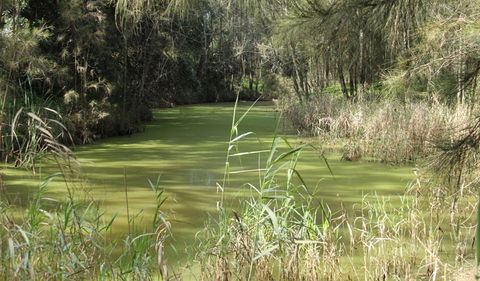 Second Ponds Creek Walk - Accommodation Port Hedland 0