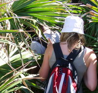 Palm Jungle loop track - Accommodation Port Hedland
