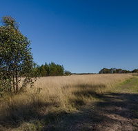 Scheyville horse riding trails - Accommodation Port Hedland