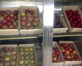 Canoelands Orchard - Accommodation Port Hedland 1