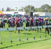Morphettville Racecourse - Accommodation Port Hedland