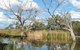 Lagoon Creek - thumb 0